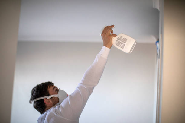 Best Residential Mold Remediation in Avilla, IN